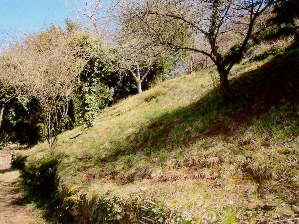 Der angelegte und sehr sonnige Garten mit altem Baumbestand rundet das exklusive und harmonische Ambiente dieses Villeno