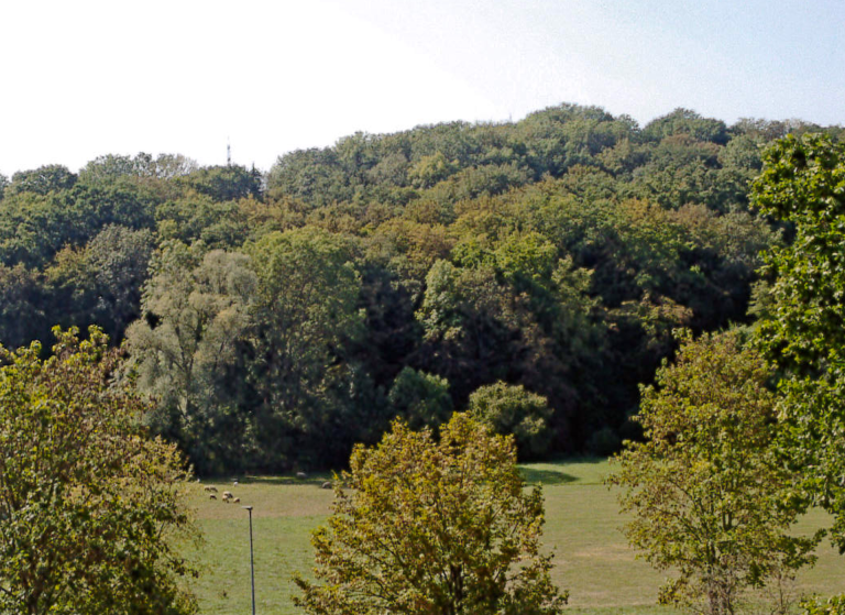 Ausblick