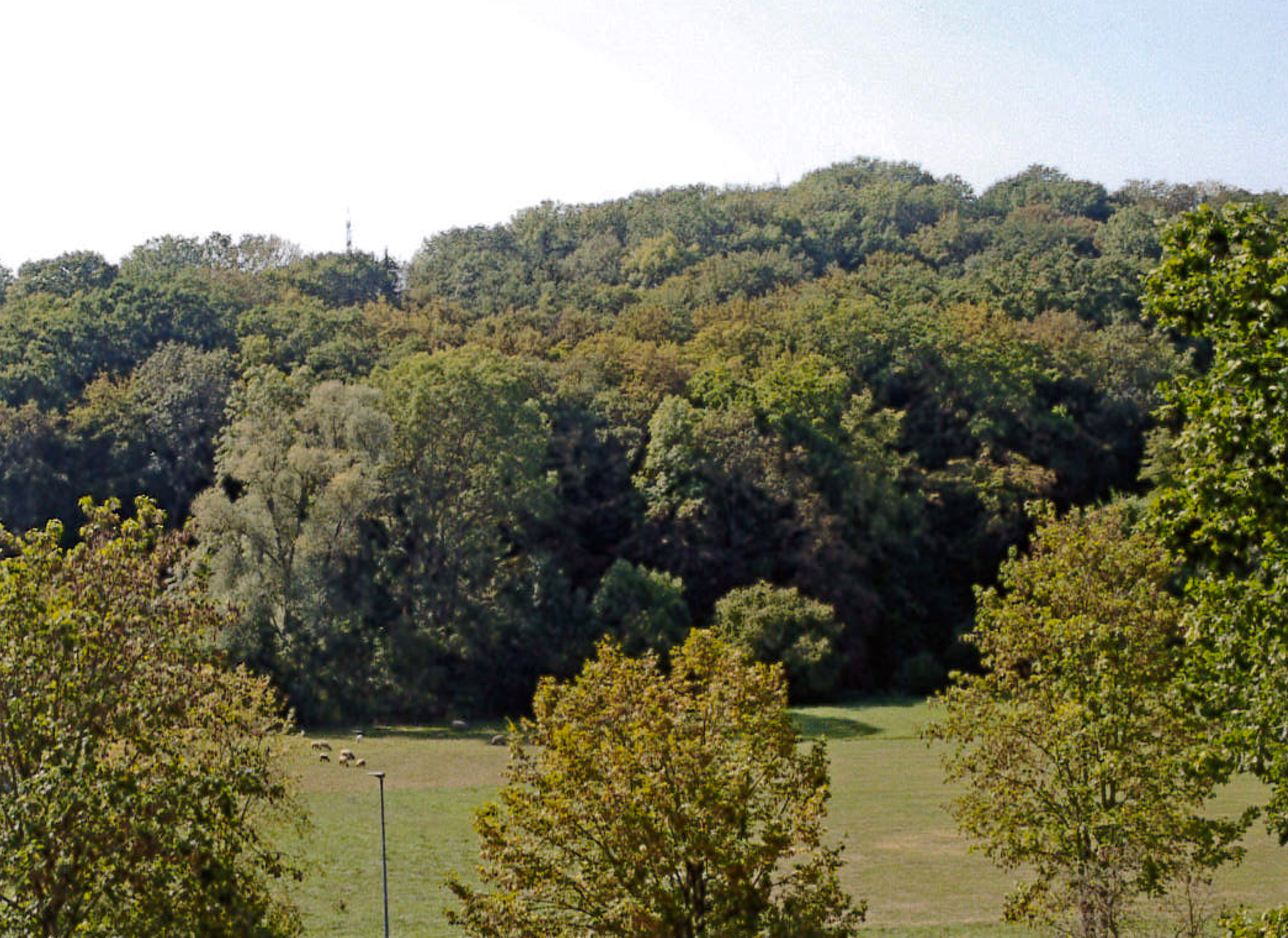 Ausblick