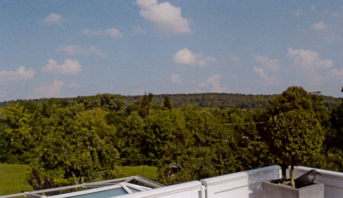 Ausblick