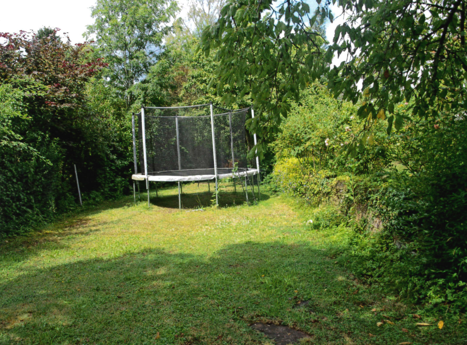 Naturnahes, idyllisches Wohnen im Grünen am Waldrand, ideal für Familien.