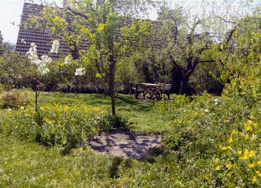 Garten3