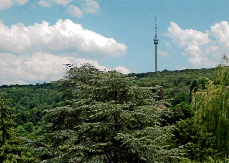 Blick zum Fernsehturm