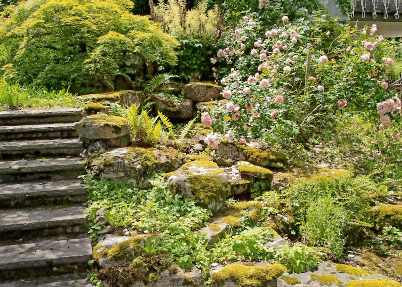 Garten3