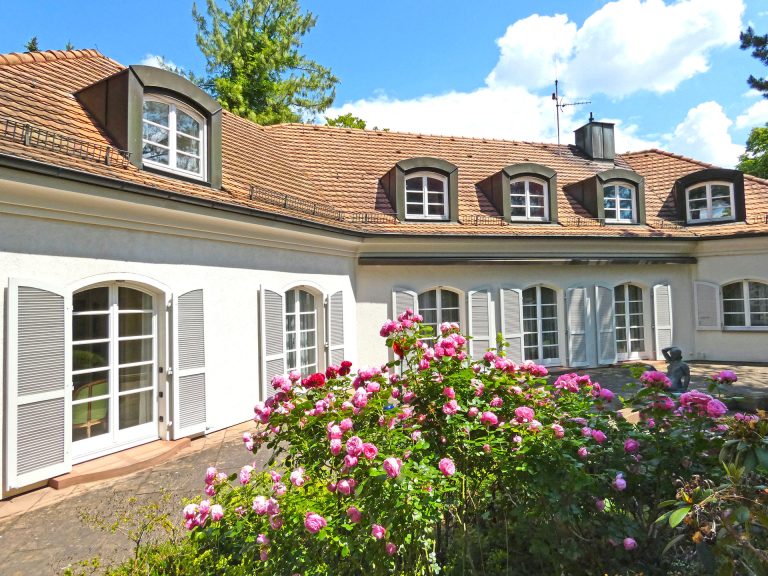 Gartenansicht mit Rosenpracht