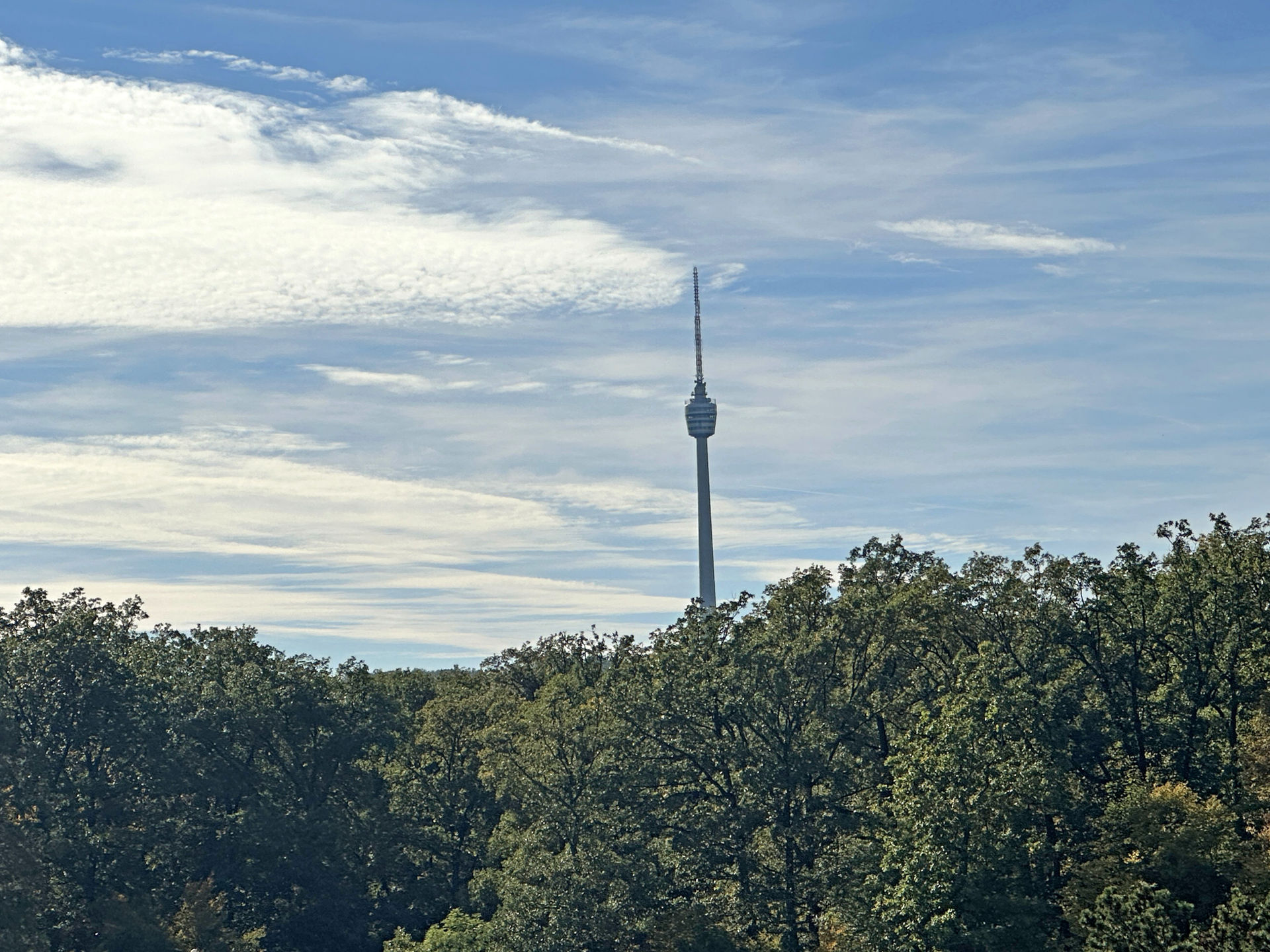 1-IMG_2383