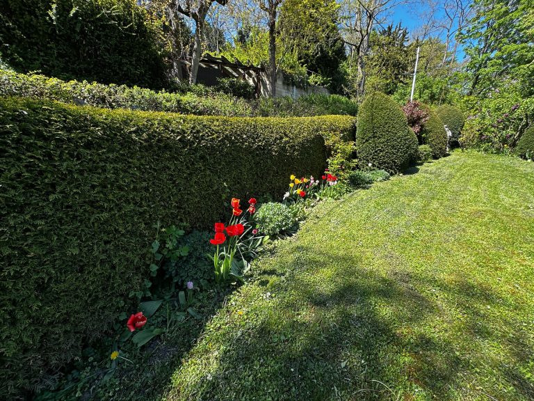 Garten mit Tulpenpracht
